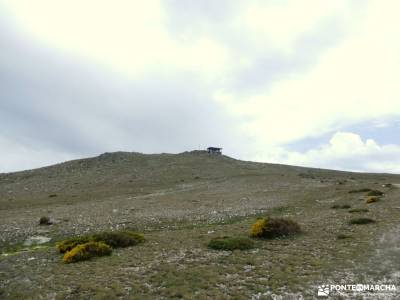 Pico del Lobo - Sierra de Ayllón; mochilas montaña clubs madrid cartagena murcia playas pueblos de t